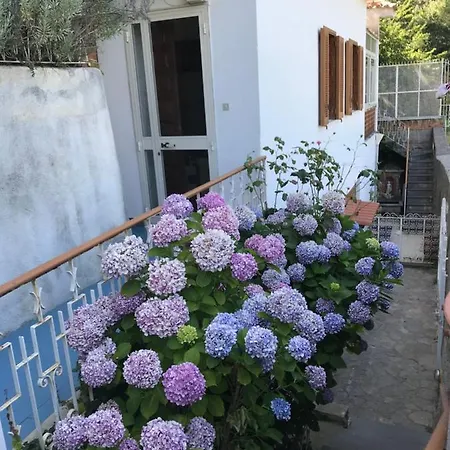 Apartment Rosa *